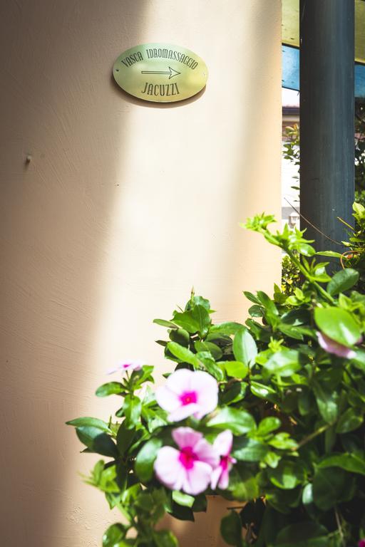 Hotel Sonia Forte dei Marmi Eksteriør billede